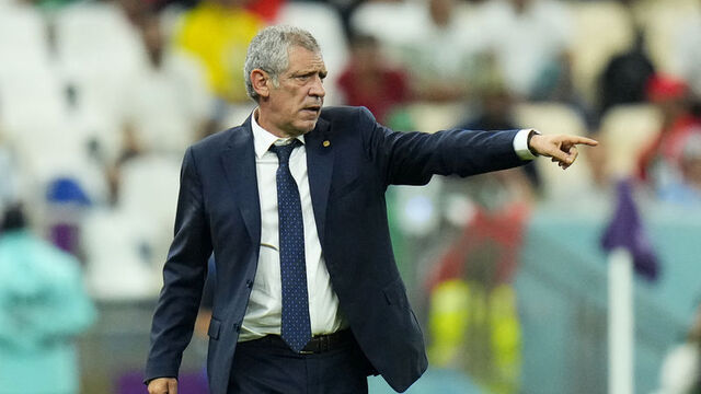 Fernando Santos Beşiktaş